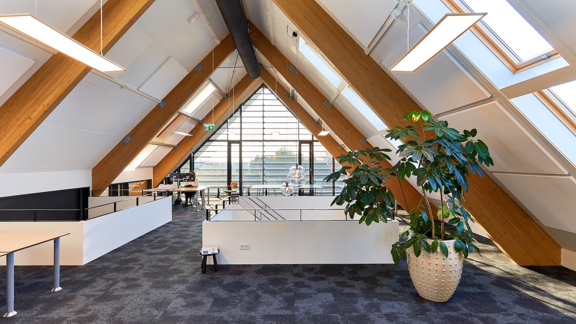 Rivasono akoestisch plafondpaneel INVSIO Panel SAB tegen schuin plafond in open kantoor
